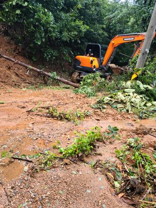 광주독수리님의 팜모닝 · 출석 작성글 사진