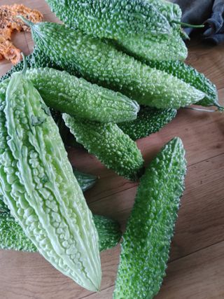 숲속의사나이님의 자유주제 · 자유게시판 작성글 사진