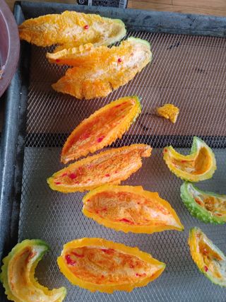 숲속의사나이님의 자유주제 · 자유게시판 작성글 사진