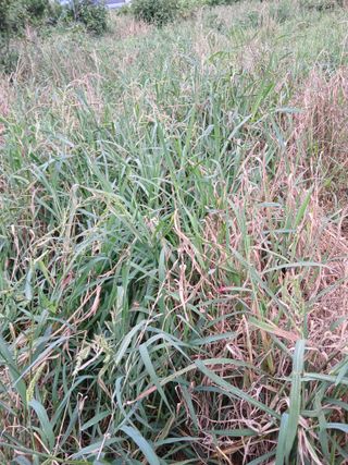 이갑덕님의 자유주제 · 자유게시판 작성글 사진