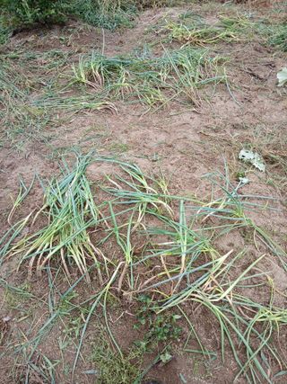 이갑덕님의 자유주제 · 자유게시판 작성글 사진