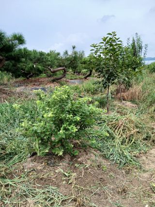 이갑덕님의 자유주제 · 자유게시판 작성글 사진