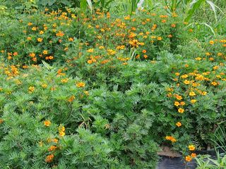 이갑덕님의 자유주제 · 자유게시판 작성글 사진