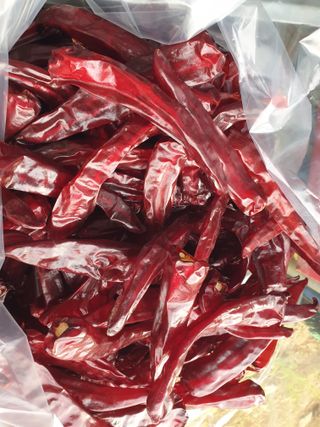 알 수 없음님의 자유주제 · 자유게시판 작성글 사진