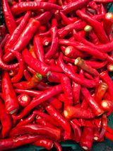 팜모닝 고추·영농일지 게시글 이미지