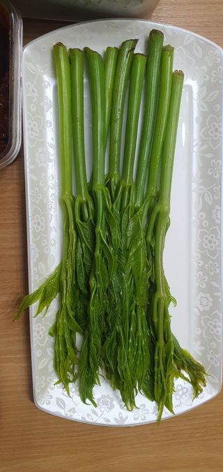 음영민님의 두릅 · 영농일지 작성글 사진