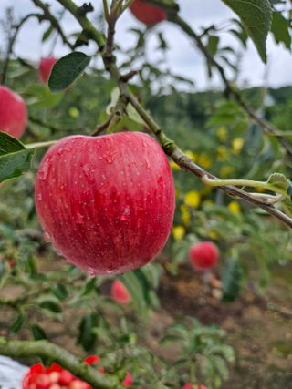 스마일님의 작성글 사진