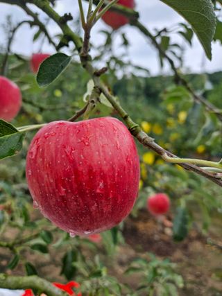 스마일님의 작성글 사진