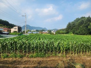 가평오디님의 들깨 · 영농일지 작성글 사진