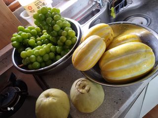 김갑수님의 기타작물 · 영농일지 작성글 사진