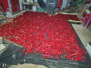 초원농원님의 고추 · 영농일지 작성글 사진