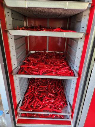 초원농원님의 고추 · 영농일지 작성글 사진