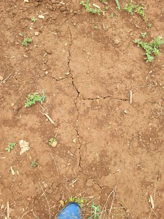 서동일님의 나의 농사 애장품을 자랑해요 · 참여글 작성글 사진