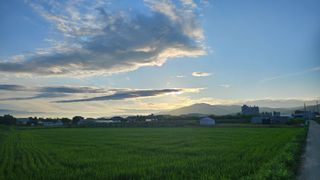 송석원님의 포도 · 영농일지 작성글 사진