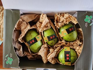 벧엘포포농원님의 자유주제 · 자유게시판 작성글 사진