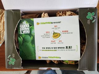 벧엘포포농원님의 자유주제 · 자유게시판 작성글 사진