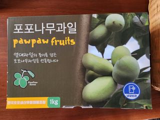 벧엘포포농원님의 자유주제 · 자유게시판 작성글 사진