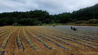 요리하는 농부님의 자유주제 · 사진전 작성글 사진