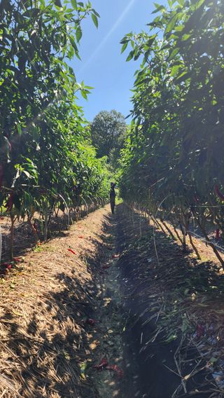 이종열님의 자유주제 · 자유게시판 작성글 사진