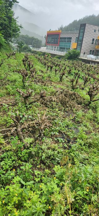 최군환님의 자유주제 · 자유게시판 작성글 사진