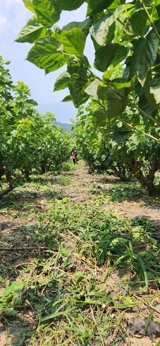 최군환님의 자유주제 · 자유게시판 작성글 사진