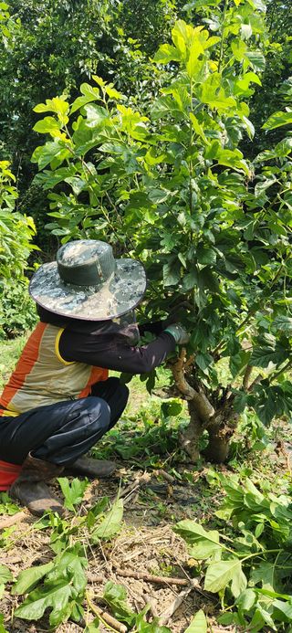 최군환님의 자유주제 · 자유게시판 작성글 사진