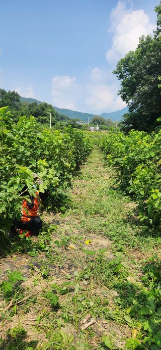 최군환님의 자유주제 · 자유게시판 작성글 사진