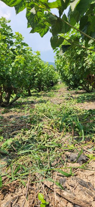 최군환님의 자유주제 · 자유게시판 작성글 사진