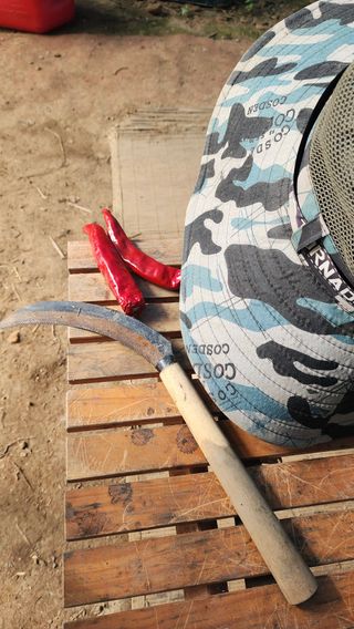 이종열님의 나의 농사 애장품을 자랑해요 · 참여글 작성글 사진