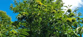 정정식님의 자유주제 · 자유게시판 작성글 사진