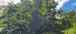 정정식님의 자유주제 · 자유게시판 작성글 사진