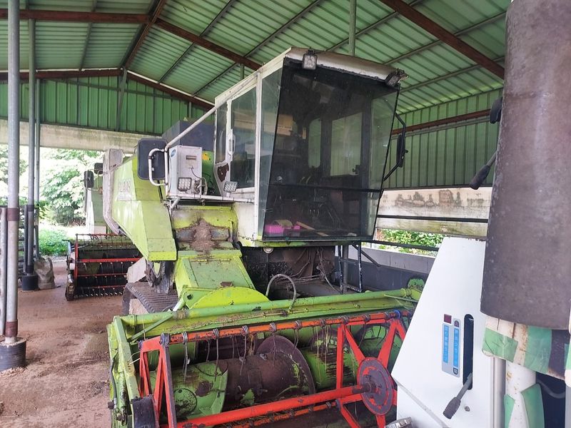 장터 상품 [콩콤바인(크라스)] 썸네일