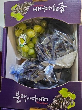 최지훈님의 자유주제 · 자유게시판 작성글 사진