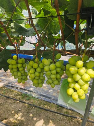 최지훈님의 자유주제 · 자유게시판 작성글 사진