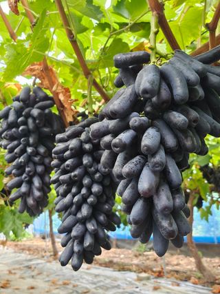 최지훈님의 자유주제 · 자유게시판 작성글 사진