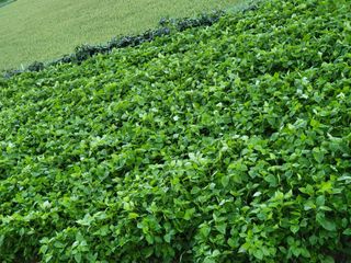 정금천님의 자유주제 · 사진전 작성글 사진