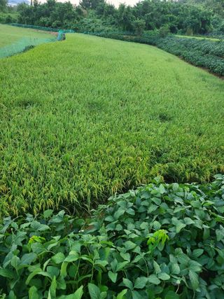 정금천님의 자유주제 · 사진전 작성글 사진