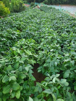 정금천님의 자유주제 · 사진전 작성글 사진