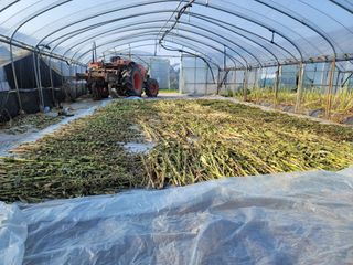 빛그린 김용화님의 자유주제 · 자유게시판 작성글 사진