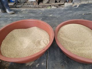 빛그린 김용화님의 자유주제 · 자유게시판 작성글 사진