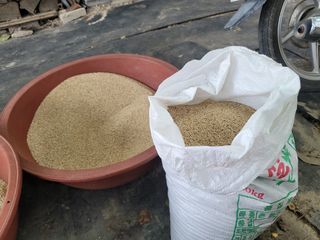 빛그린 김용화님의 자유주제 · 자유게시판 작성글 사진