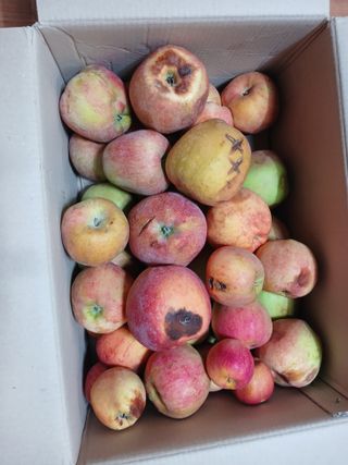 최예준 님의 자유주제 · 자유게시판 작성글 사진