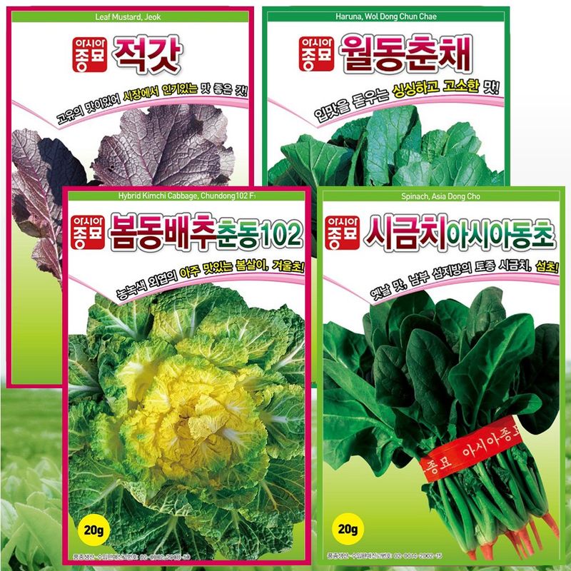 장터 상품 [월동 씨앗 4종 세트 봄동 20g 월동춘채 20g 동초 시금치 20g 적갓 30g] 썸네일