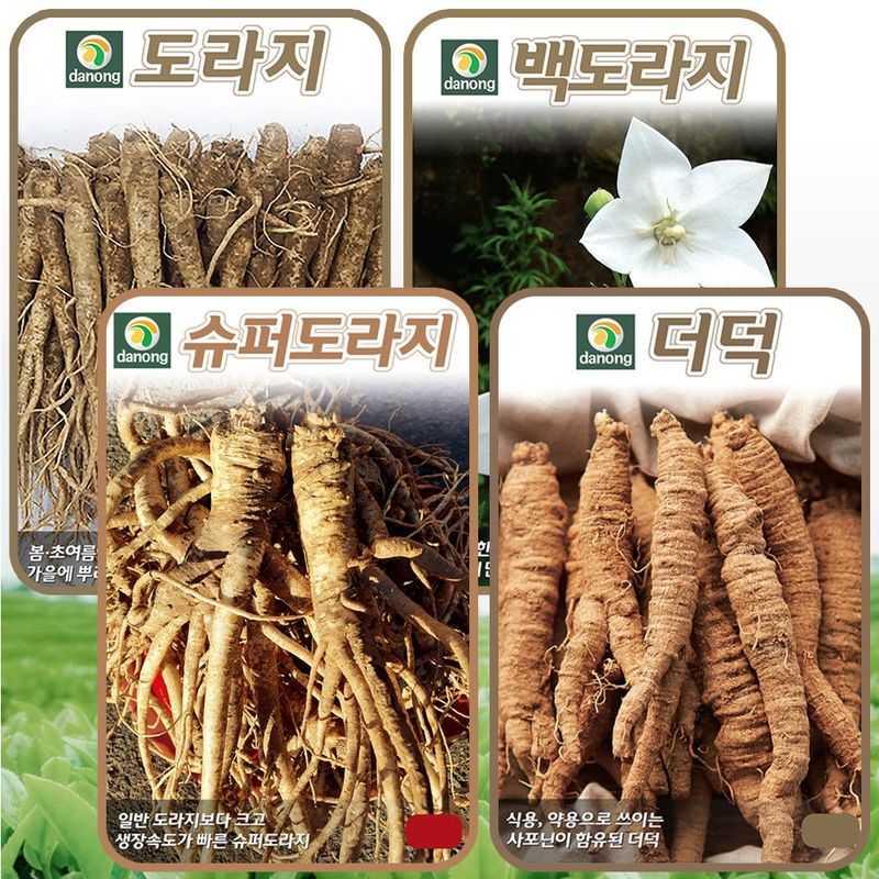 장터 상품 [도라지 씨앗 3종 + 더덕 씨앗 1종 4종 세트 민속 채소씨 종자] 썸네일