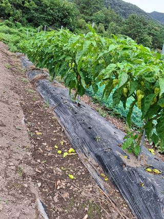 마도님의 자유주제 · 자유게시판 작성글 사진