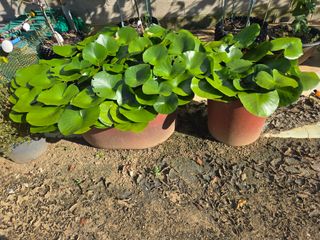 자연인님의 자유주제 · 자유게시판 작성글 사진