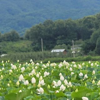 두레연님의 나의 농사 애장품을 자랑해요 · 참여글 작성글 사진