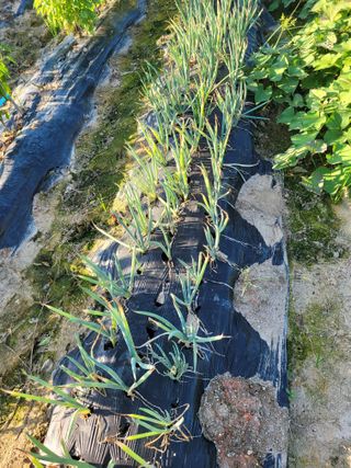 희찬(김동필)님의 자유주제 · 자유게시판 작성글 사진