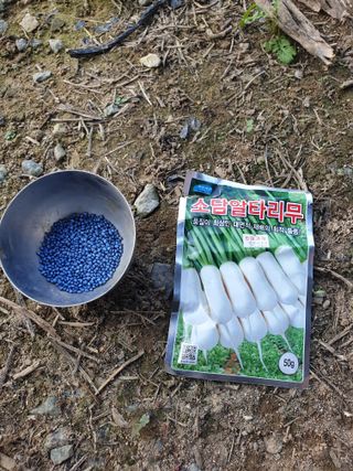 샤이니바다님의 배추 · 영농일지 작성글 사진