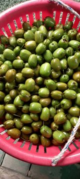 팜모닝 자유주제·자유게시판 게시글 이미지